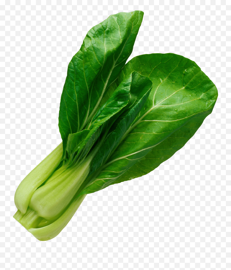 Download Free Salad Leaf Png Image Icon Favicon Freepngimg - Spinach Emoji,Salad Emoji