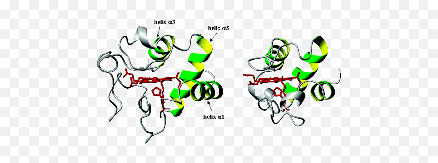 Cytochrome C Occurrence And Functions Chemical Reviews Emoji,Fist Pump Japanese Text Emoticon