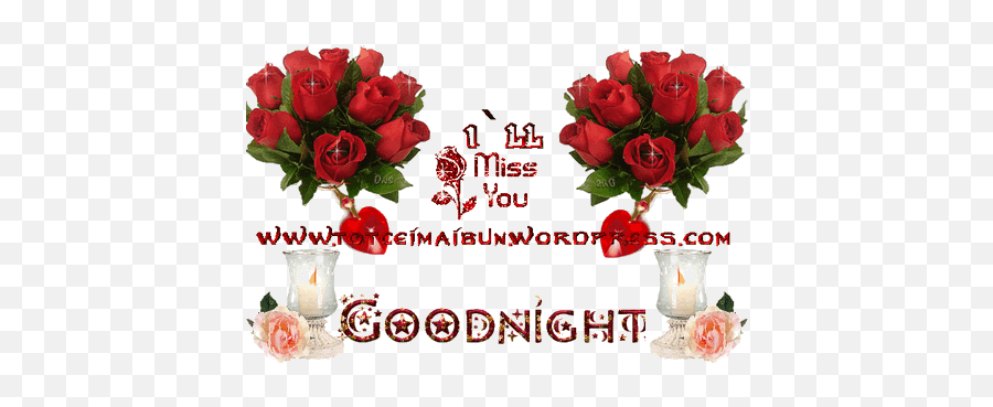 Good Night Felycutys Photos Page 3 Emoji,Miss Emoticon Coffe