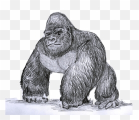 Alpha Male Posturing Why You Must Quit That Sht - Power Emoji,Gorillas Emotions