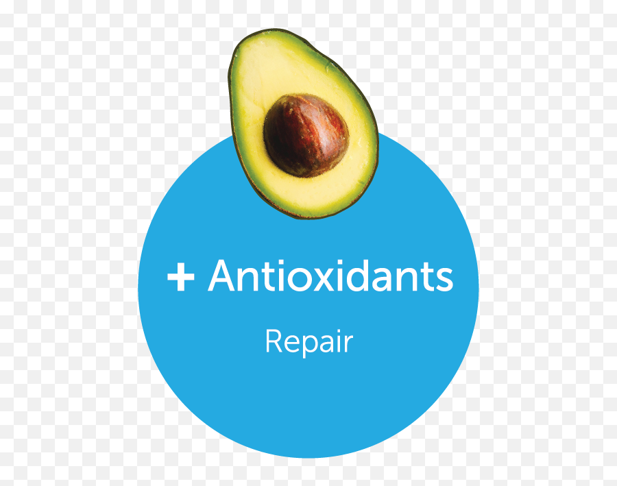 Antioxidants - New Zealand Avocado Emoji,Avocado Emoji