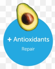 Antioxidants - New Zealand Avocado Emoji,Avocado Emoji