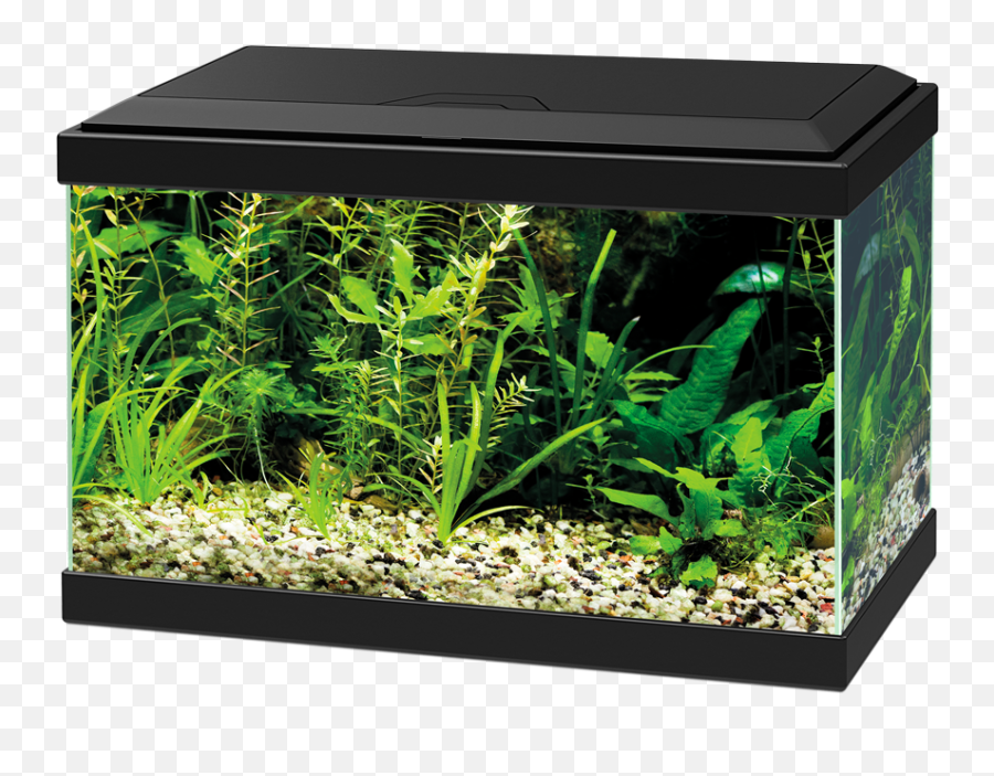 Tropical Aquariums - Aquarium 17 Litres Emoji,Ciano Emotions 80