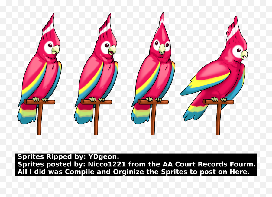 Ace - Parrot Polly Phoenix Wright Emoji,Phoenix Wright Text Emoticons