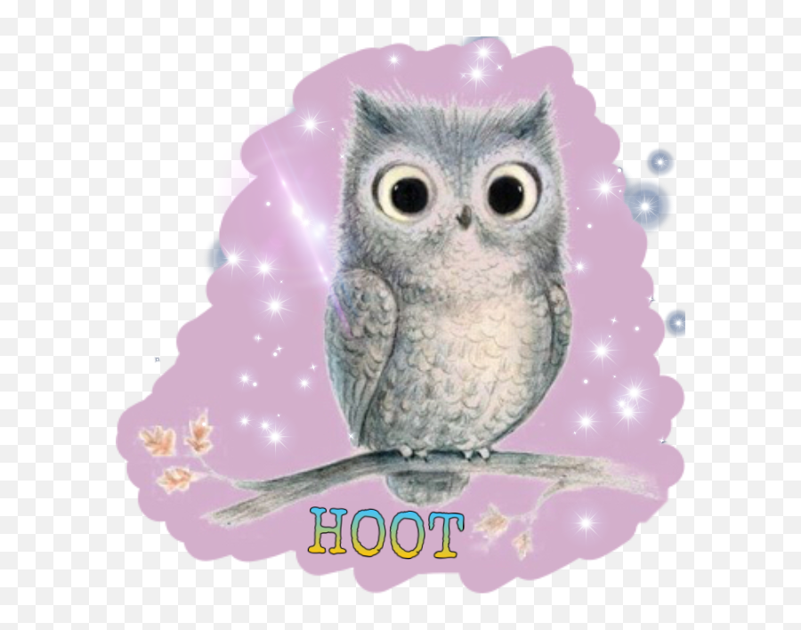 Trending Hoot Stickers - Owl Transparent Background Png Emoji,Hoot Owl Emojis