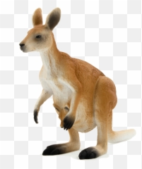 Endangered Species By Amairani Mv On Emaze - Kangaroo Figure Emoji,Kangaroo Emoticon
