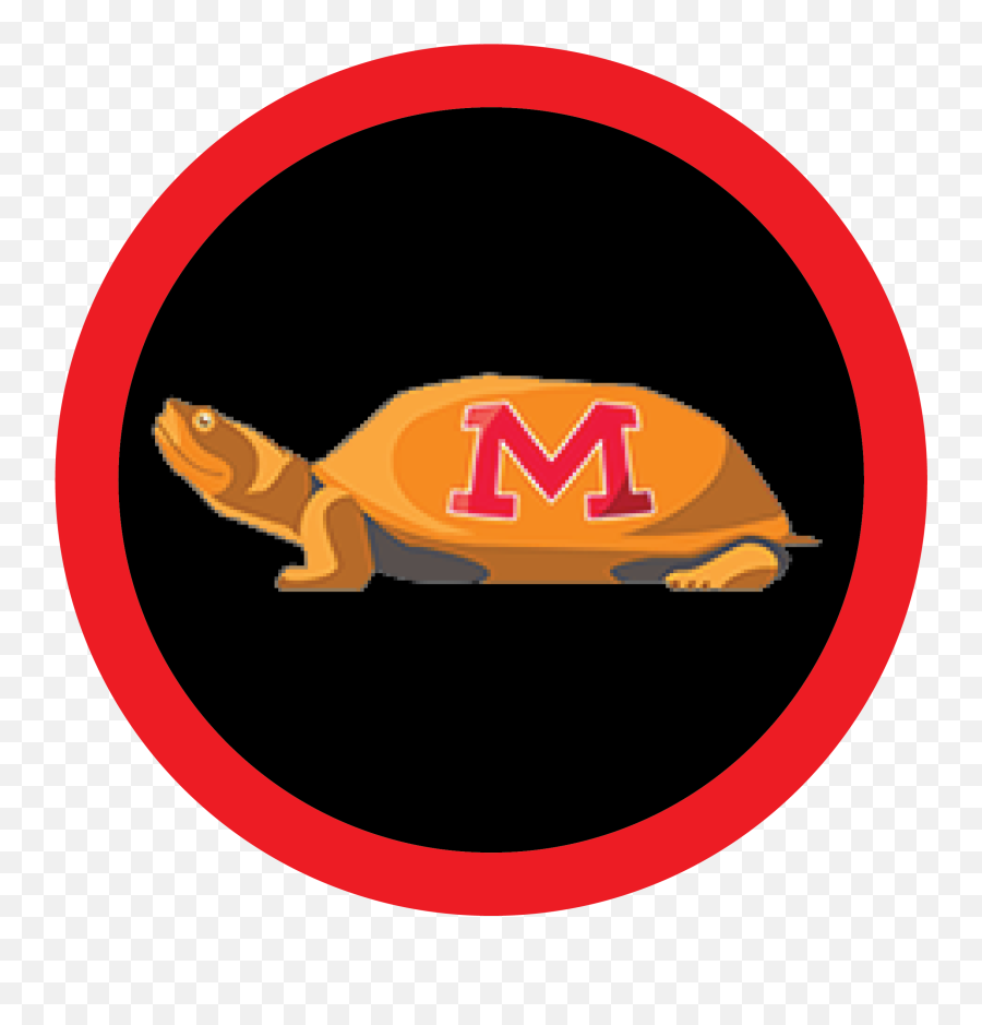 Umd Web Map - Chelonoidis Emoji,Umd Testudo Emoticon