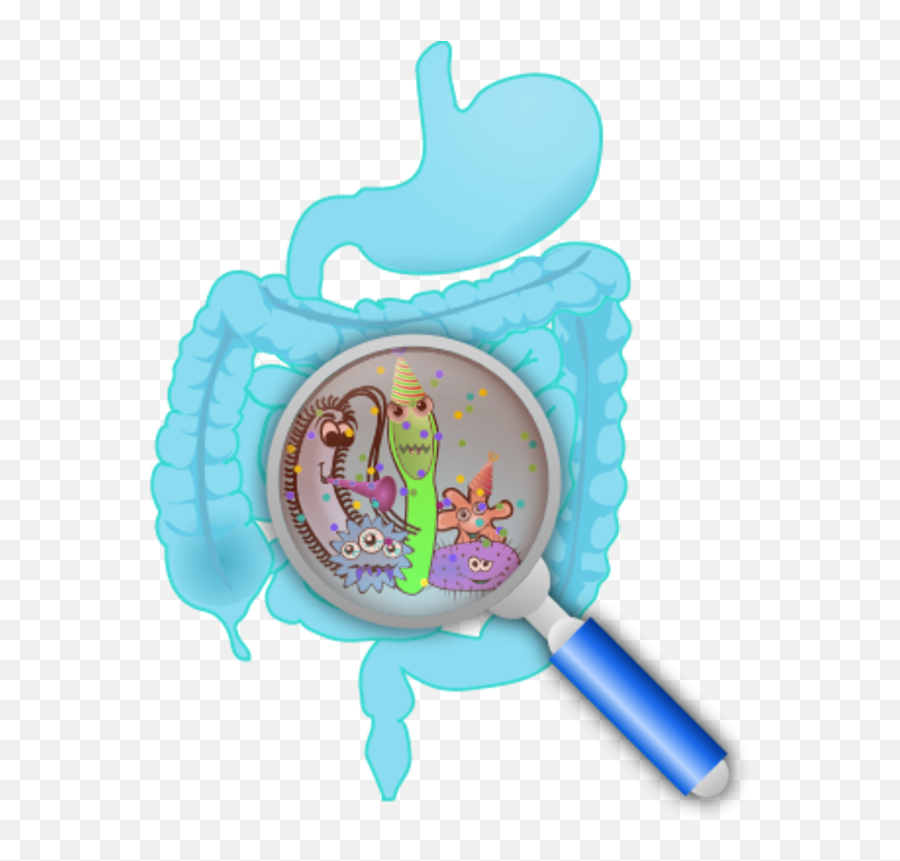 Human Intestine With A Zoom Lens - Bacteria Vector Emoji,Emoji Lente