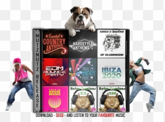 Download Mutznutz Music Pack 060 2020 - Mutznutz Music Pack 016 2021 Emoji,One To One Forward Your Emotions Flac Torrent