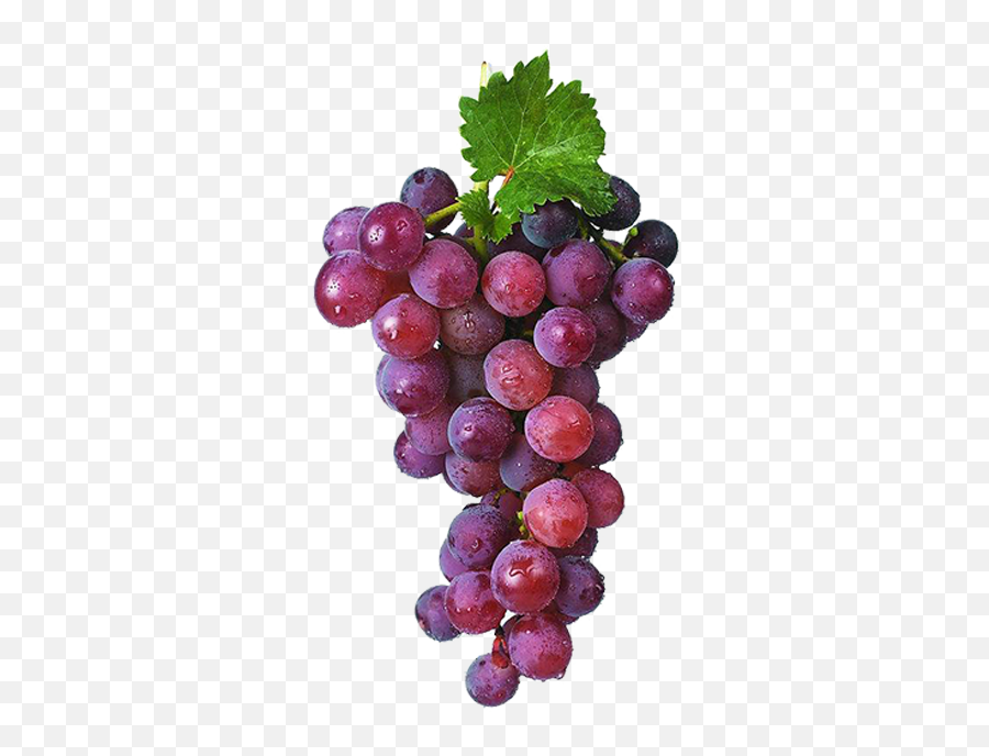 Grapes Transparent Images Png Arts Emoji,Grape Emojis