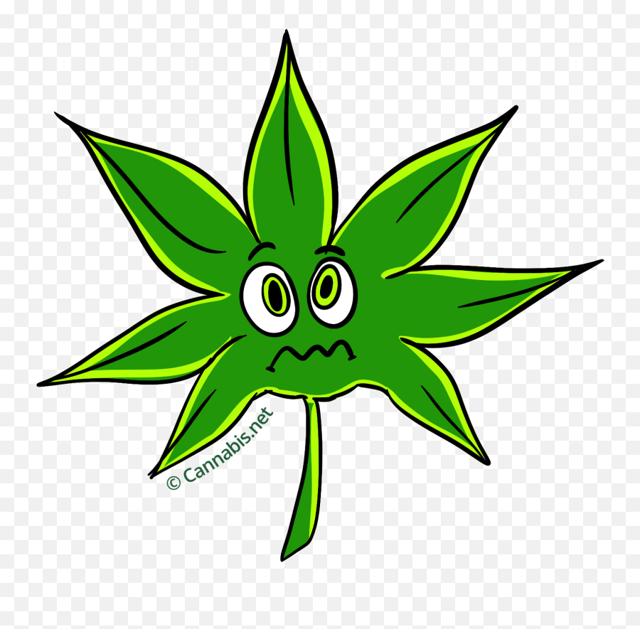 Nyc Diesel Dry Mouth Headache - Emoji Marihuana Png,Headache Emoji