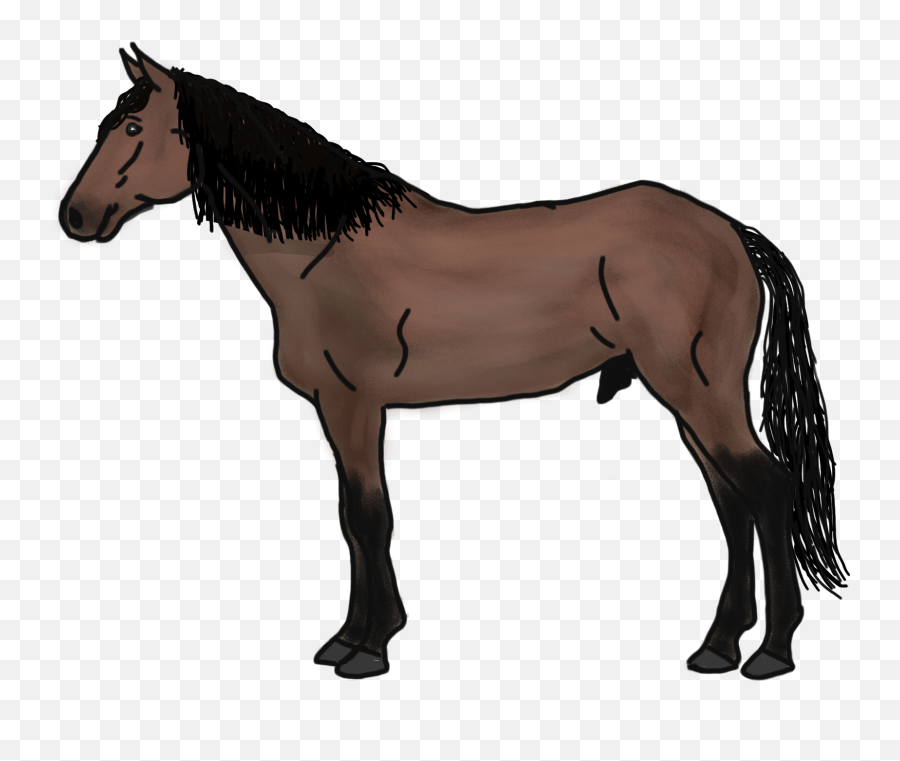 Horse Drawing Digitalart Bay Sticker - Animal Figure Emoji,Horse Emoji App