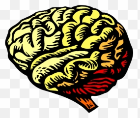 The Heart And Craft Of Life Writing Writing Makes You Feel - Dementia Ppt Emoji,Emotions In Brain Scans