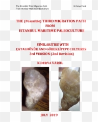 Third Migration Path From Istanbul - Crystal Emoji,Fsu Spear Emoji
