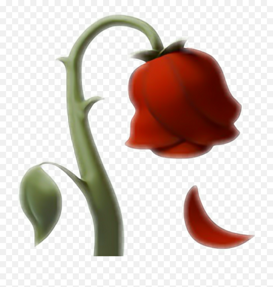 Download Hd - Dead Rose Emoji Transparent,Red Emojis