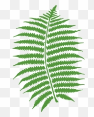 Fern Emoji Clip Art Image - Clipsafari Clip Art Fern,Leaf Emoji