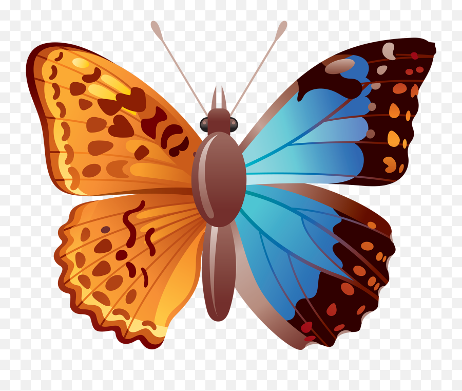 Cell Chirality Offers Clues To The Mystery Of Body Asymmetry Emoji,Alien Emoji Twitter
