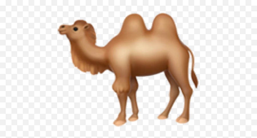 43 Sexting Emoji - Definitions Of Emoji For Sexy Conversations Two Hump Camel Emoji,What Emojis Mean