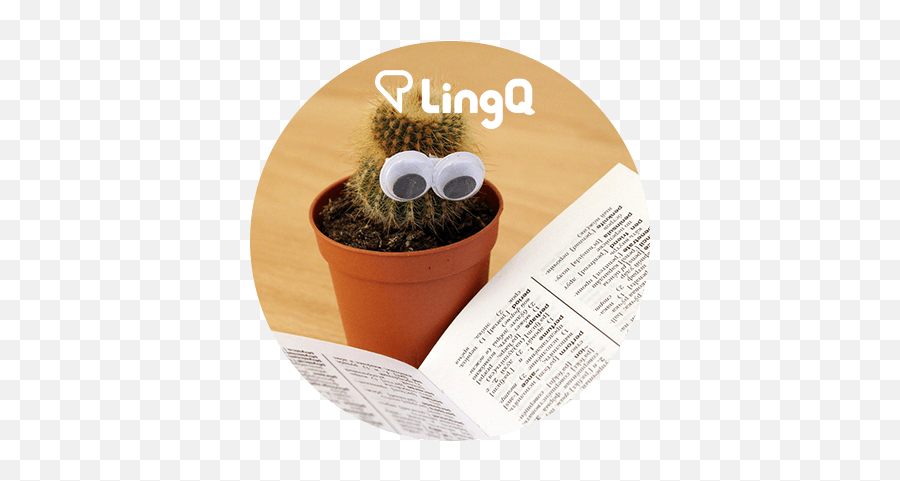 10 Cool English Words To Add To Your Word - Stock Lingq Blog Cactus With Googly Eyes Emoji,English Words For Feelings And Emotions
