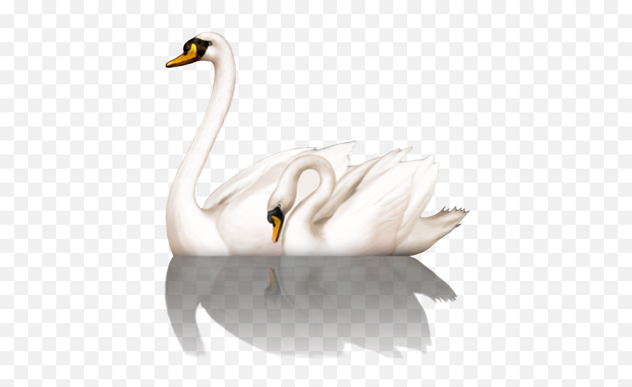 The Most Edited Swan Picsart - Mute Swan Emoji,Is There A Swan Emoji