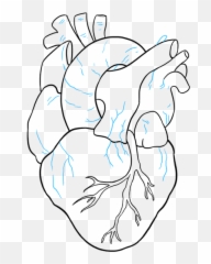 Whatu0027s The Difference Between A Heart Shaped Bum And A Round - Human Heart Drawing Easy Cartoon Emoji,A Kick Your Butt Face Emoticon