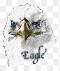 Eagle Graphics And Animated Gifs - Tête D Oiseau Dessin Emoji,Eagles Gif Emoticon