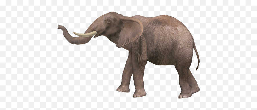 Elephant Png Resolution500x306 Transparent Png Image - Imgspng Emoji,Elephants Emoji