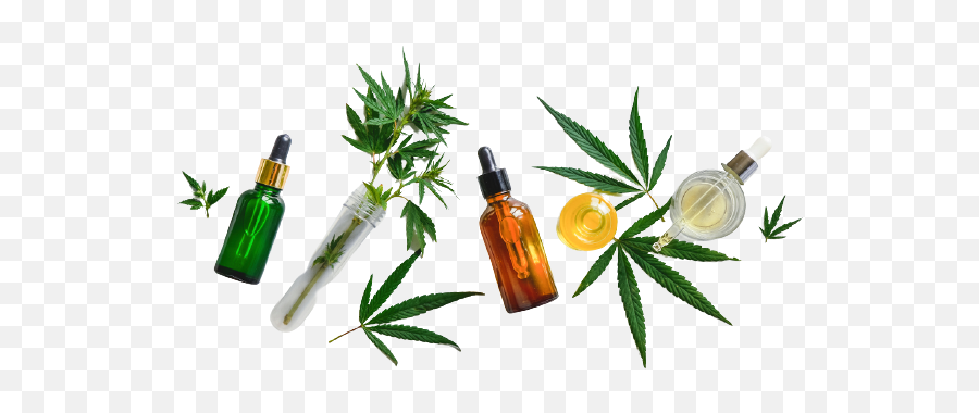 Best Cbd Oil For Anxiety U0026 Depression Benefits Safety Emoji,Sp Emotion Reaponded With Pearls Best Cbd Oil For Anxiety U0026 Depression Benefits Safety Emoji,Sp Emotion Reaponded With Pearls
