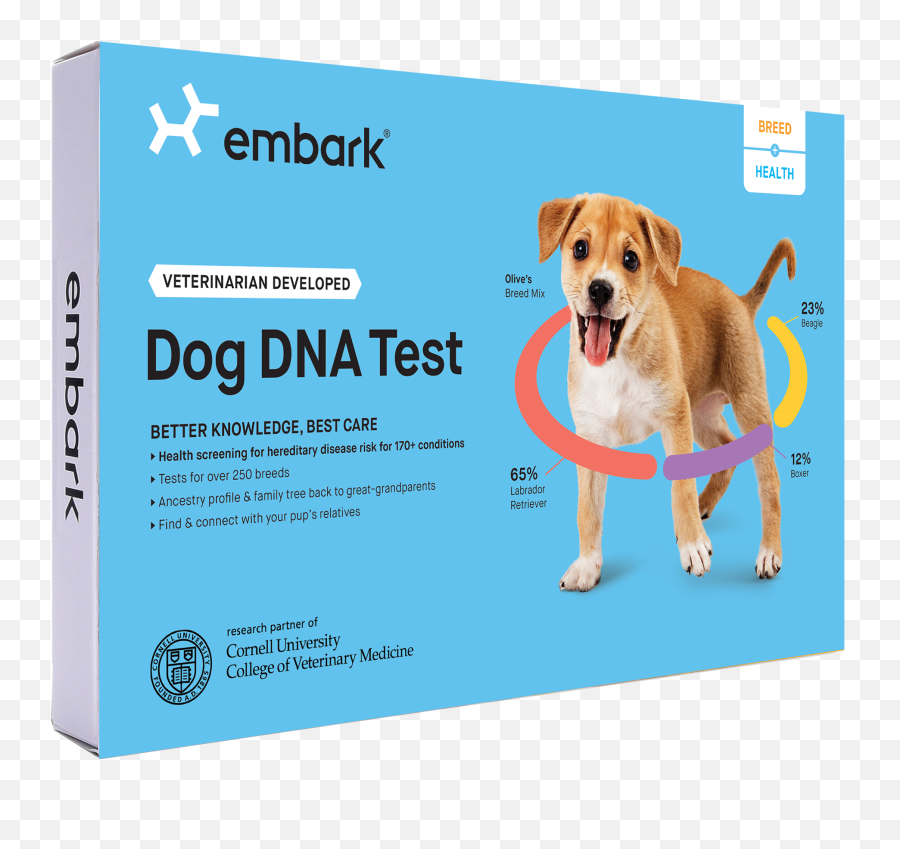29 Best Gifts For Dog Lovers - Thoughtful Gifts For Dog Parents Embark Dog Dna Test Kit Emoji,Send Your Friends Cute Cream Labrador Retriver Emojis
