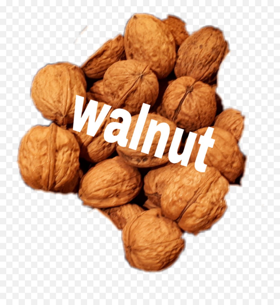 Walnut Sticker - Walnut Emoji,Walnut Emoji