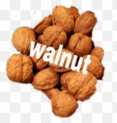 Walnut Sticker - Walnut Emoji,Walnut Emoji