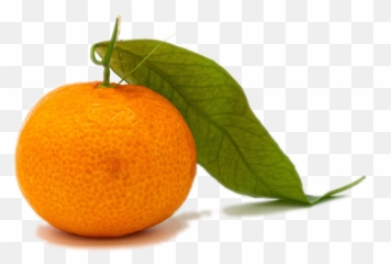 Why You Need A Mandarin Now U2013 Cuculachi Emoji,Mandarin Chinese Emotions