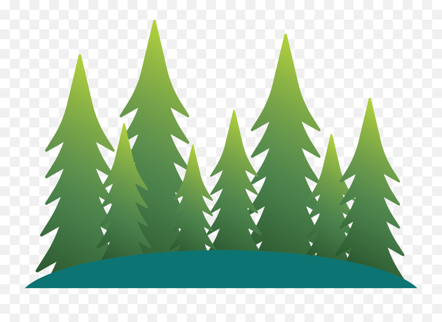 Blog - Tropical And Subtropical Coniferous Forests Emoji,Emotion Wasatch Canoe Amazon