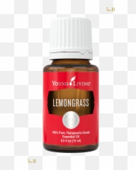 Download Lemongrass Essential Oil Young Living Png - Purification Young Living Emoji,Emotions And Essential Oils