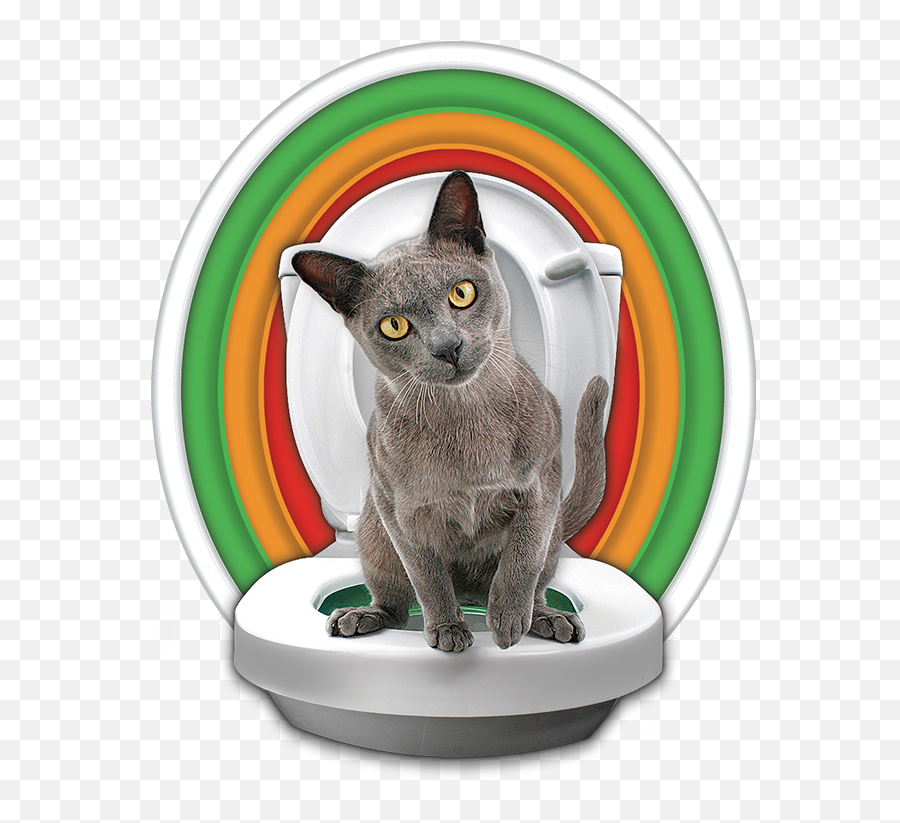 Litter Kwitter Cat Toilet Training System Emoji,Cat Using Litter Box Emoticon