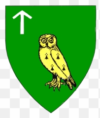 Kingdom Of Caid Roll Of Arms - Royalty Little Owl Emoji,Emoticon With Floers
