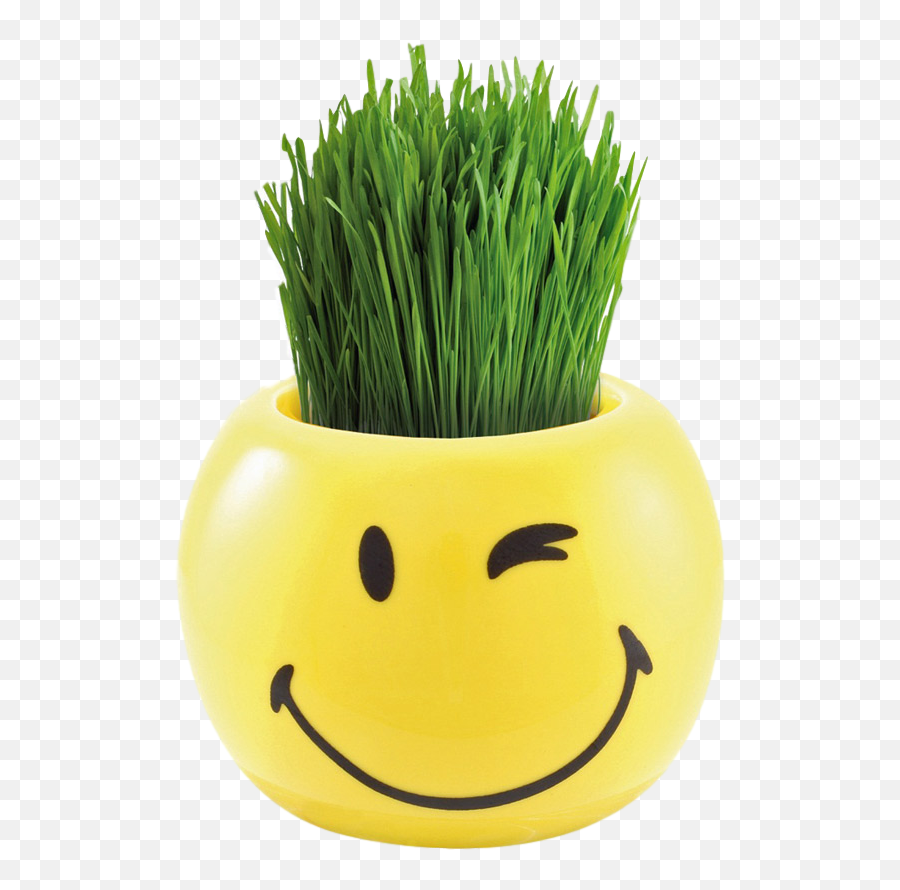 Diy Grass Hair Creativkits Emoji,Thirst Emoticon