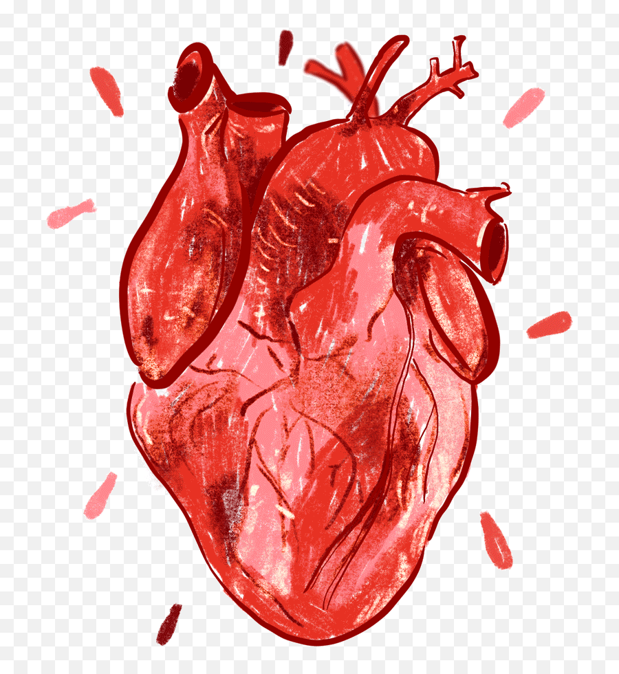 Portfolio Karenplasu0027 Portfolio Emoji,Anatomical Heart Emoji