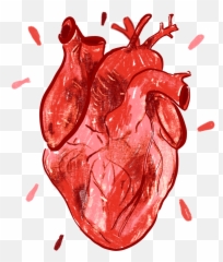 Portfolio Karenplasu0027 Portfolio Emoji,Anatomical Heart Emoji