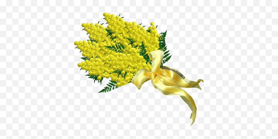 Mimosa Sticker - Mimose Gif Festa Delle Donne Emoji,Mimosa Emoji