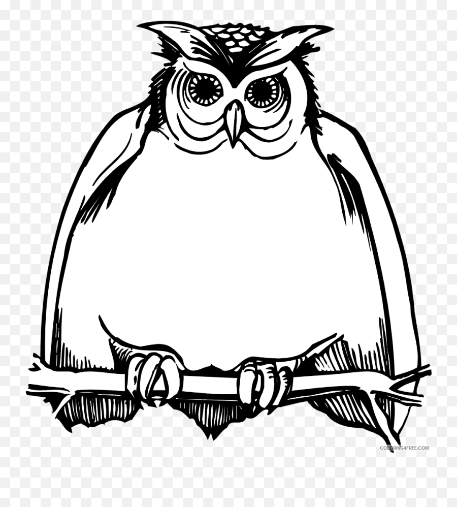 Owl On A Branch Coloring Pages Illustration Of A Fat Owl - Owls Cartoon Black And White Emoji,Pine Branch Emoji