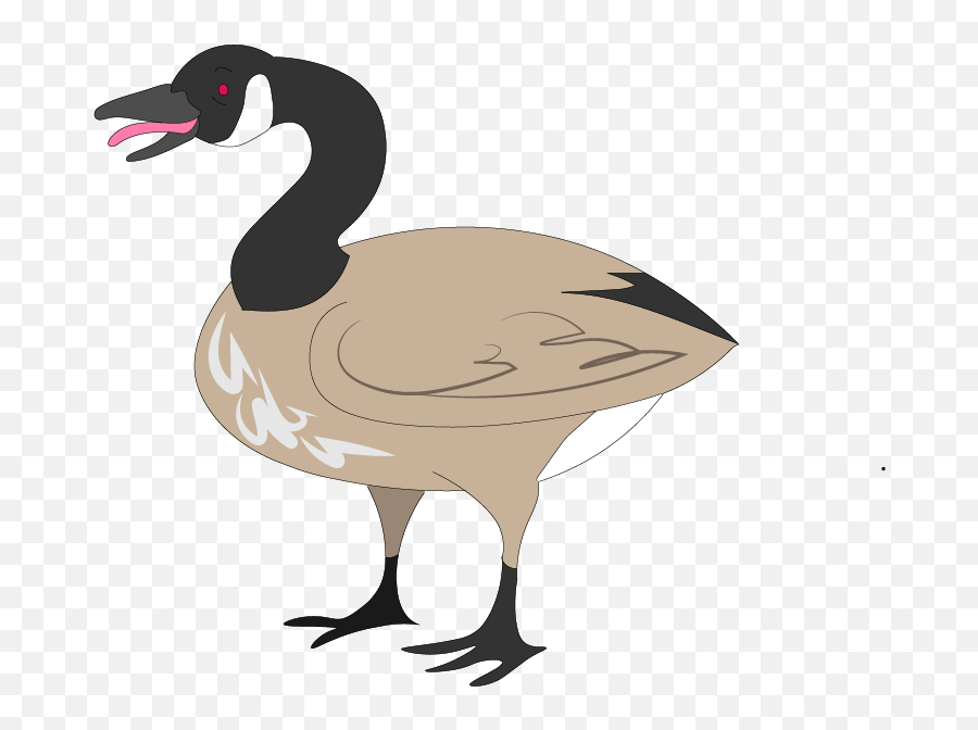 Download Canada Goose Illustrated For A - Canadian Goose Clipart Emoji,Goose Emoji