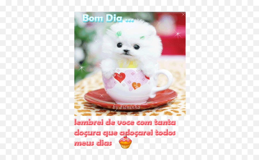 Os Melhores Gifs De Bom Dia Para Whatsapp E Facebook - Cute Small Dogs Baby Emoji,Mensagem De Bom Dia De Deus Vom Emoji Os Melhores Gifs De Bom Dia Para Whatsapp E Facebook - Cute Small Dogs Baby Emoji,Mensagem De Bom Dia De Deus Vom Emoji