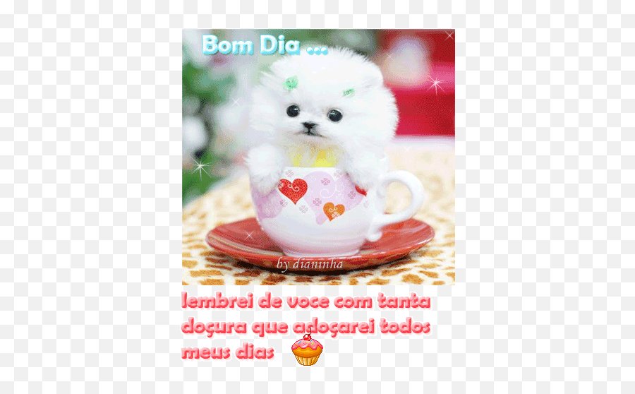 Os Melhores Gifs De Bom Dia Para Whatsapp E Facebook - Cute Small Dogs Baby Emoji,Mensagem De Bom Dia De Deus Vom Emoji