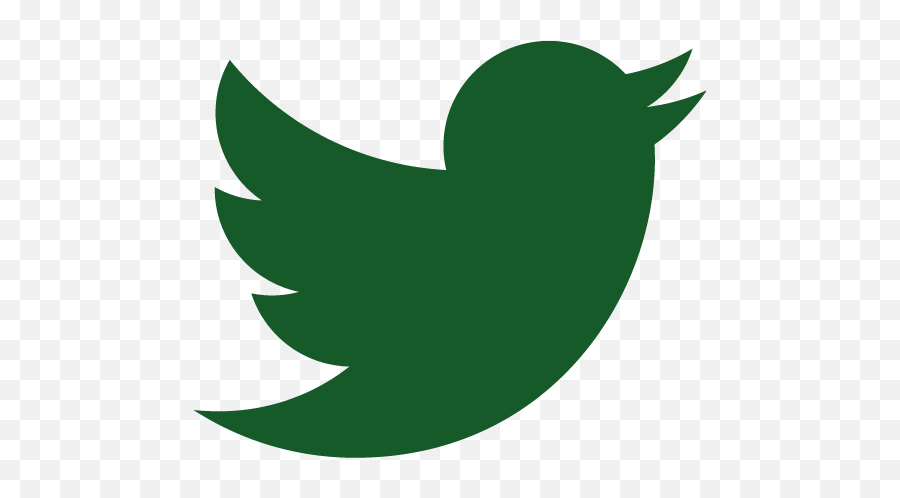 Dallas Green Official Twitter Logo - Instagram Whatsapp Twitter Png Emoji,Nfl Emojis