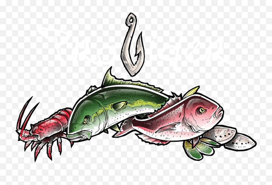 Yay Weu0027re Back Fishing U2014 Provider Fishing Charters And Tours - Fish Emoji,Fish Relating To Emotions