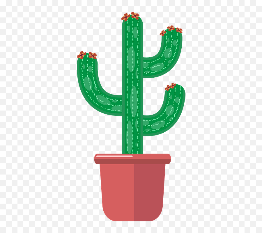 Free Photo Cactus Decoration Pot Plant Botany House Plant - Vertical Emoji,House Emoji With Garden