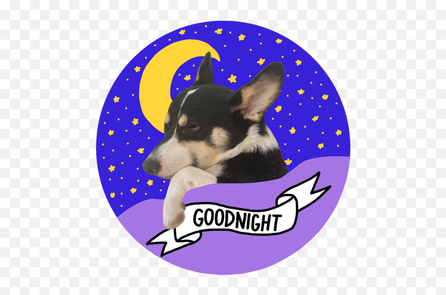 Corgi Axel Sticker Pack By John Hunter Emoji,Good Night Sticker Emoticons