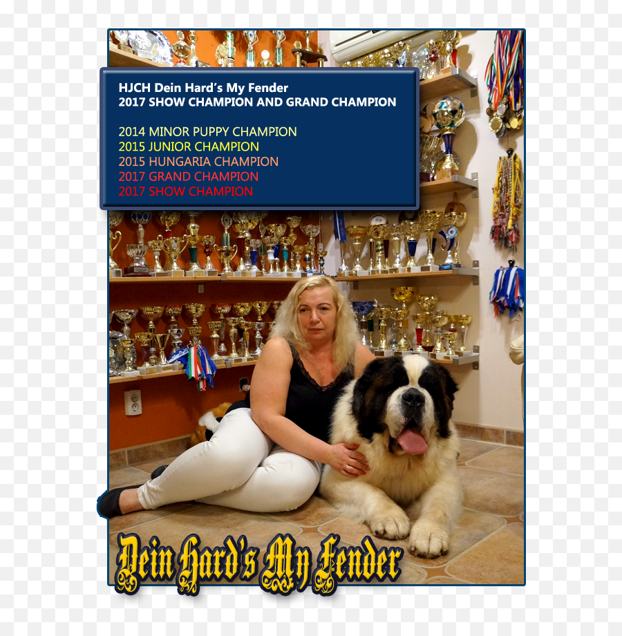 St Pierre Kennel Emoji,Saint Bernard Emoji