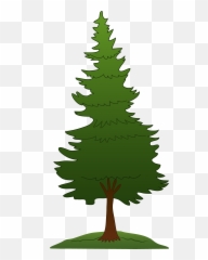 Park Clipart Tree Park Tree - Pine Trees Clipart Png Emoji,Pine Tree Emoji